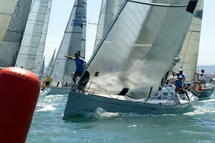 Lombardini Cup 
regate e feste 
in Adriatico